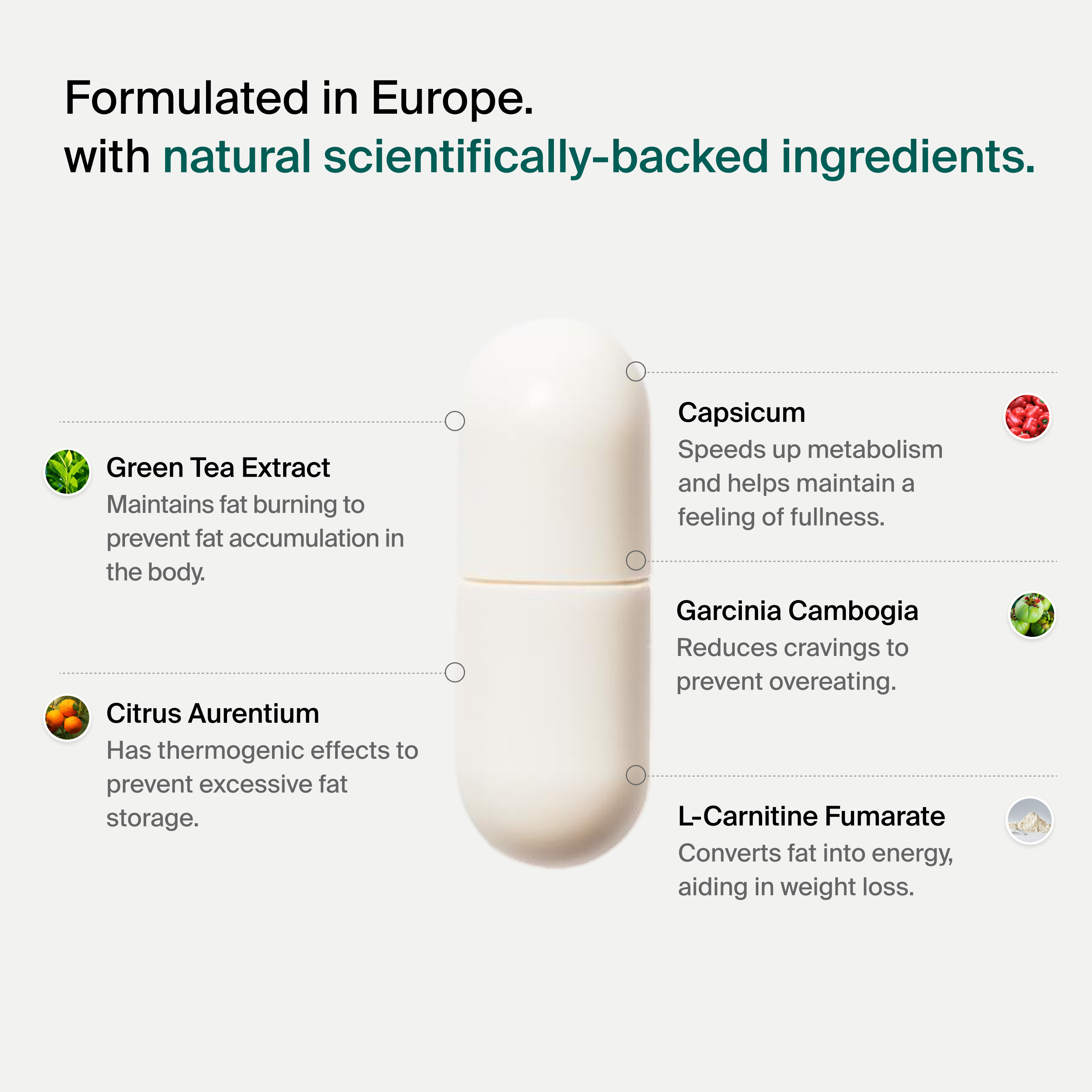 Trimify supplement capsule with listed ingredients on a white background